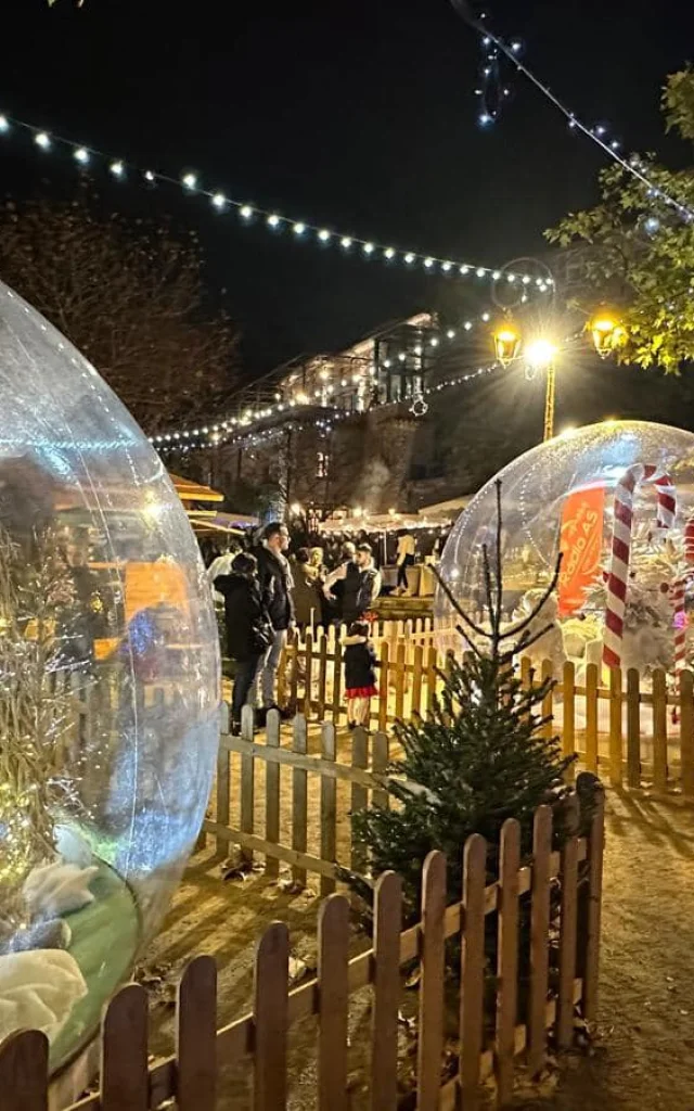 Noel A Mougins Couv Header