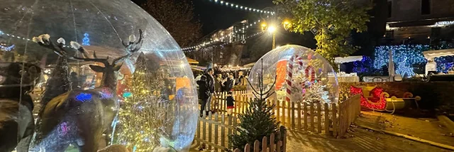 Noel A Mougins Cover Header