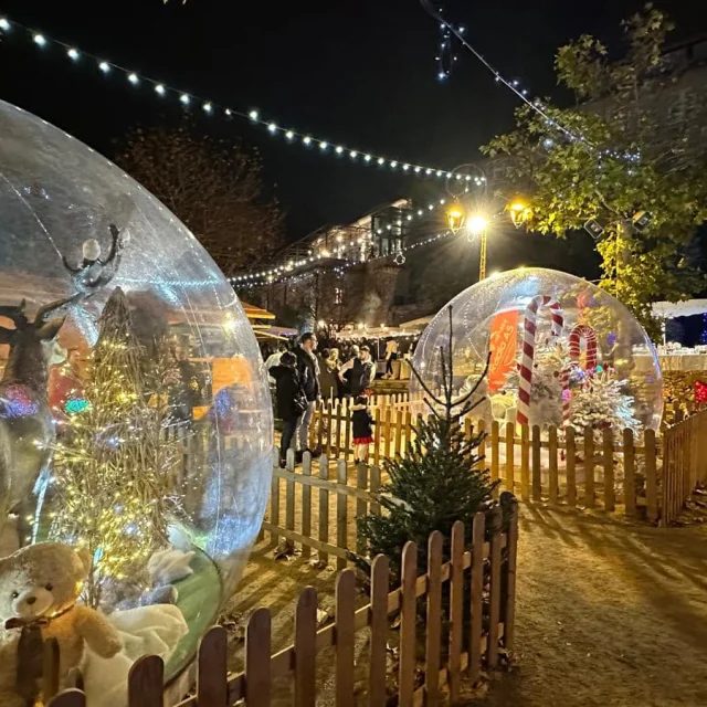 Noel A Mougins Cover Header