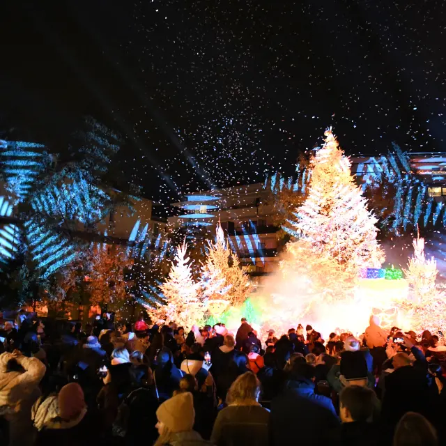 Féérie des lumières au Cannet