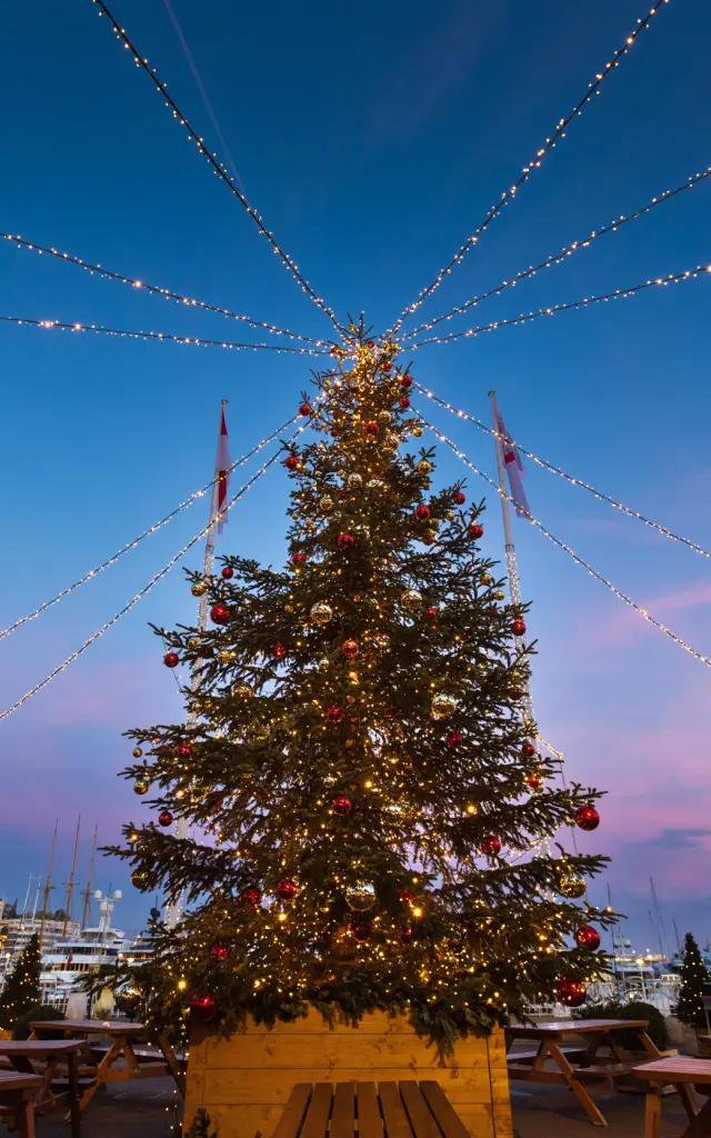 Cover photo Bvergely