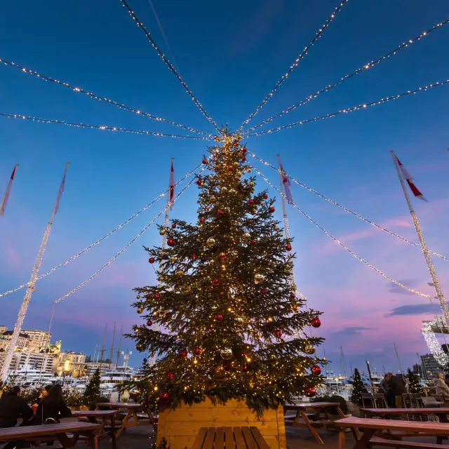 Cover photo Bvergely