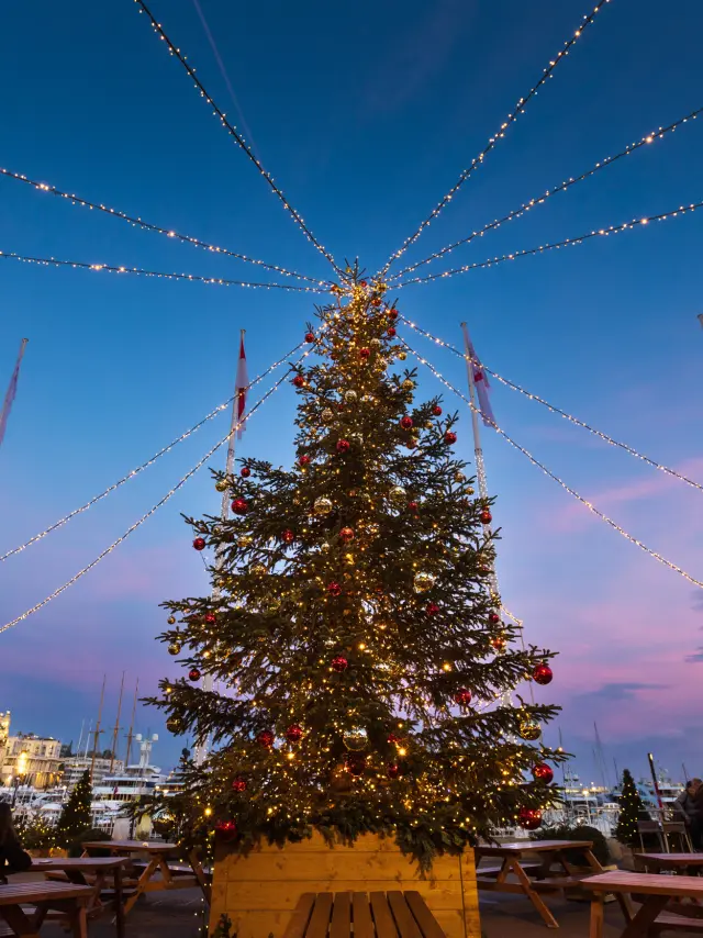 Cover photo Bvergely