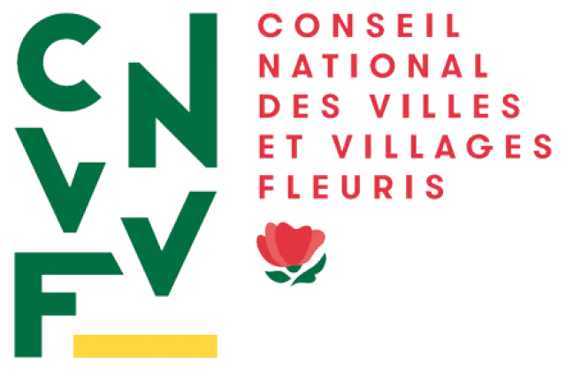 Logo Cnvvf