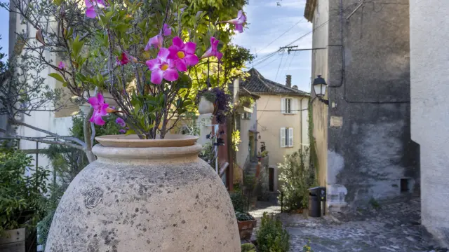 Vase en terre cuite orné de fleurs violettes dans une ruelle pittoresque du village de Biot, sur la Côte d’Azur.