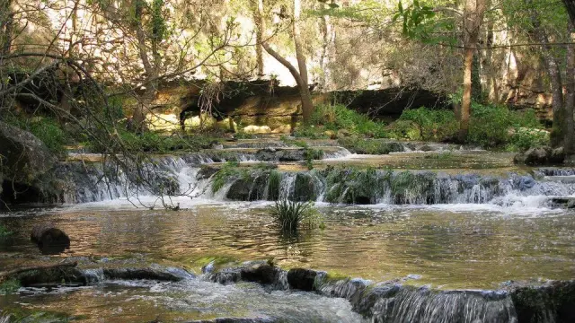 Cascades naturelles dans la forêt de la Brague à Biot, un écrin de nature sur la Côte d’Azur.