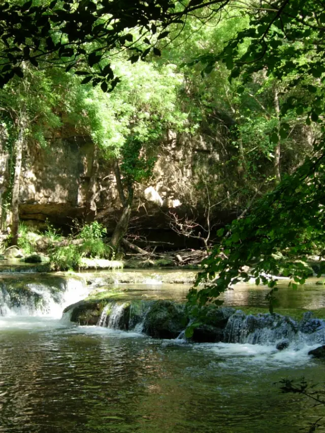 Cascade paisible de la Brague entourée d'une végétation luxuriante dans la forêt de Biot.