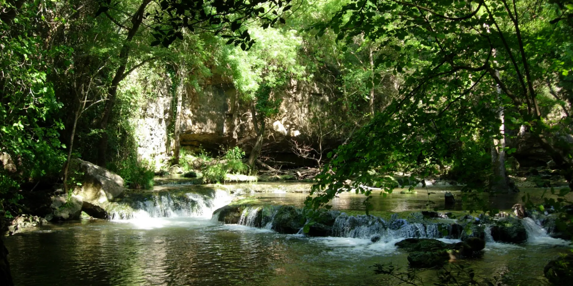 Cascade paisible de la Brague entourée d'une végétation luxuriante dans la forêt de Biot.