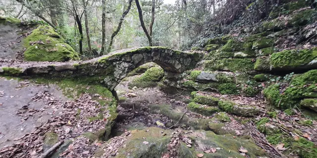 Petit pont en pierre recouvert de mousse dans la forêt de Biot, au cœur d’un sentier de randonnée pittoresque.