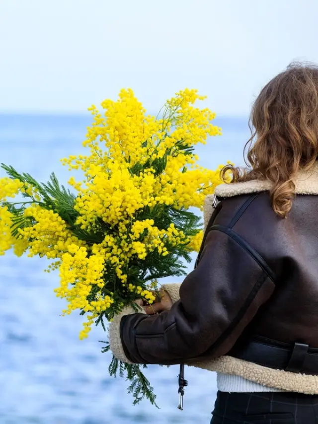 Route du Mimosa - Sainte-Maxime