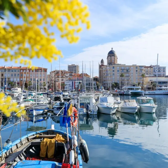Route du Mimosa - Saint-Raphaël
