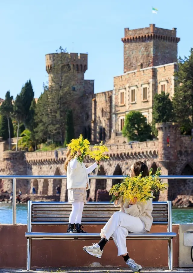 Route du Mimosa - Mandelieu-La Napoule