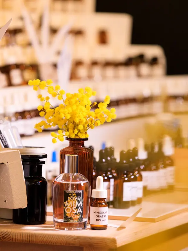 Route du Mimosa - Grasse