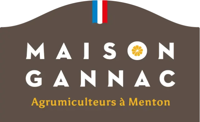 Maisongannac Logos Exe Braune Umrandung Transparenter Hintergrund Pixel RGB 2023
