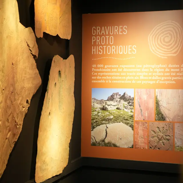 Musée des Merveilles