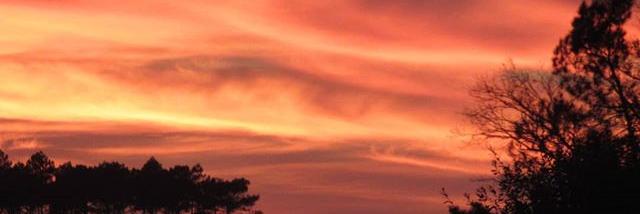 Coucher de Soleil | Côte Landes Nature