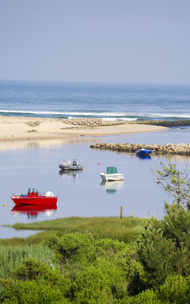 Courant de Contis | Côte Landes Nature