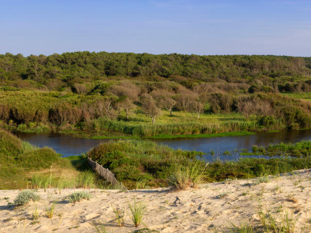Le Courant d'Huchet | Côte Landes Nature Tourisme