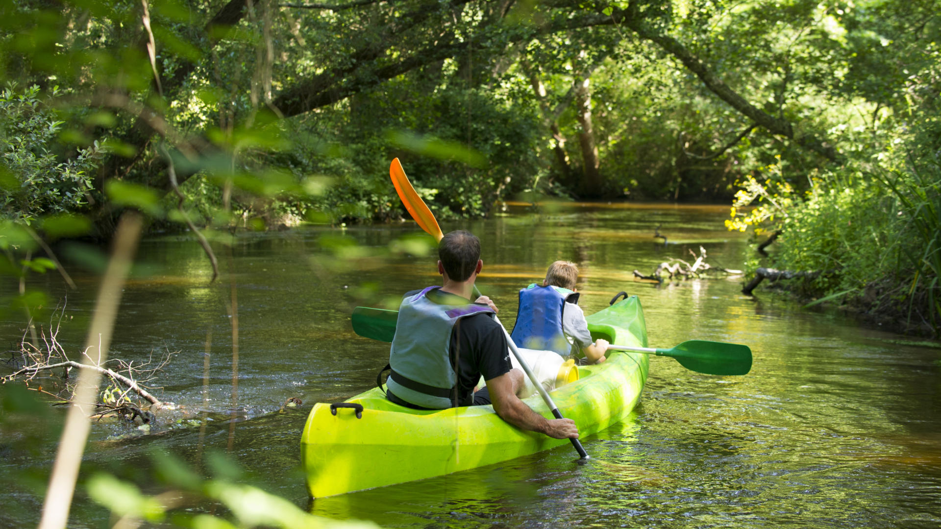 Descendre la Palue en canoë | Côte Landes Nature Tourisme