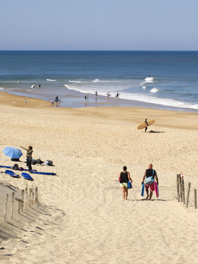 Plage de La Lette Blanche | Côte Landes Nature