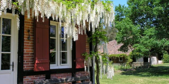 Maison Landaise typique | Côte Landes Nature