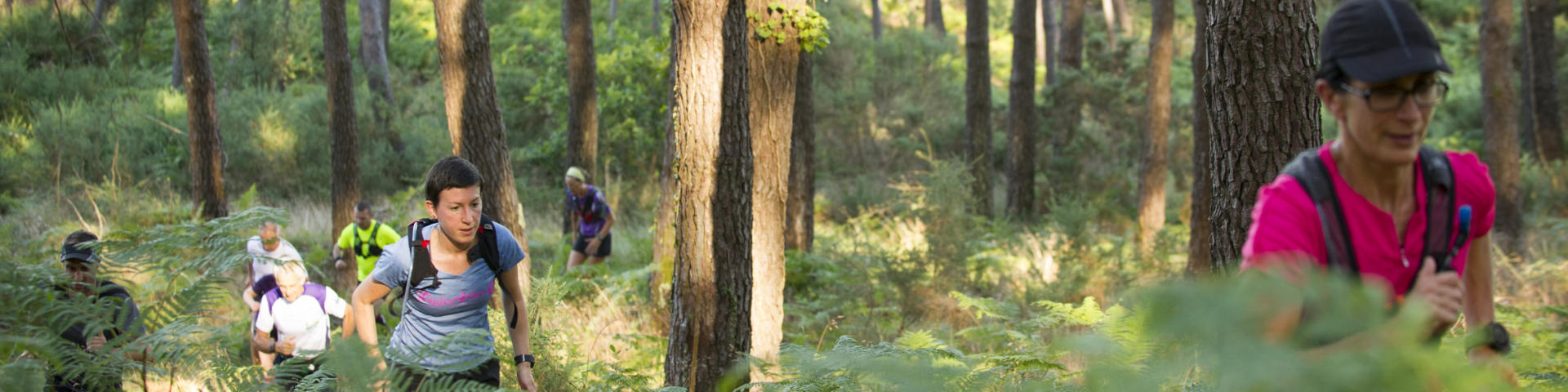 Trail dans la forêt à Saint Girons