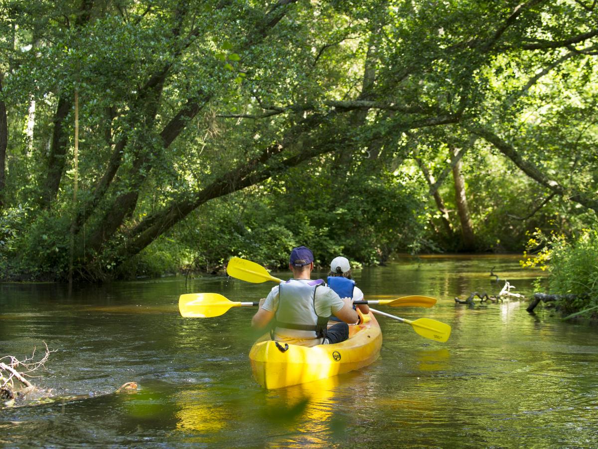 J’ai testé le canoë vers le Lac de Léon Côte Landes Nature Tourisme