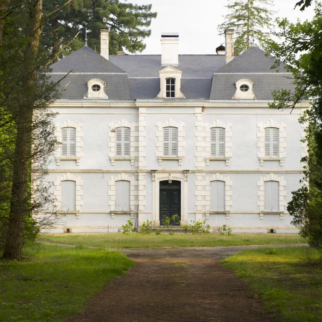 Linxe in der Nähe des Strandes von SaintGironsPlage