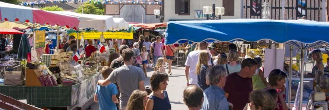 Marché à Léon | Côte Landes Nature