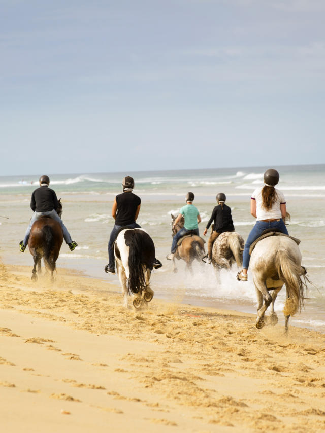 Randonnée à cheval | Côte Landes Nature