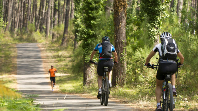 v lo dans les Landes C te Landes Nature Tourisme