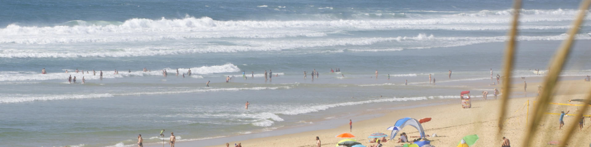 Plage du Cap de l'Homy à Lit et Mixe | Côte Landes Nature