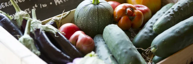 Produits frais à déguster en Côte Landes Nature