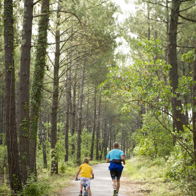 Piste cyclable à Lit et Mixe | Côte Landes Nature