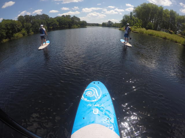 Balade en Paddle sur le lac d'Uza | Côte Landes Nature