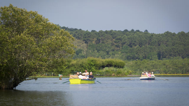 Bateliers du Courant d'Huchet à Léon | Côte Landes Nature