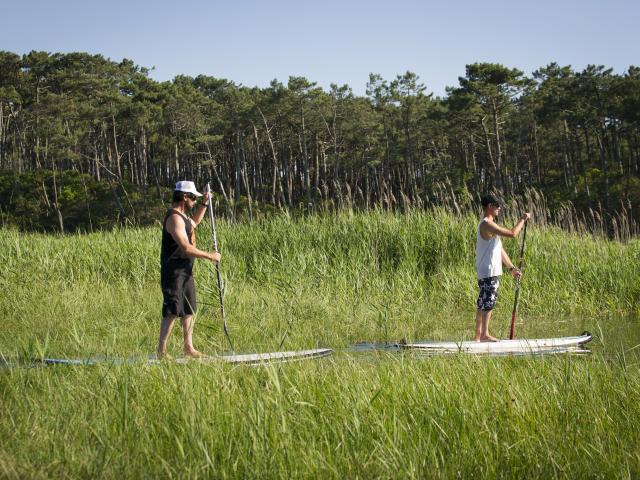 Paddle sur le Courant de Contis