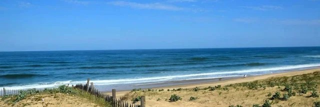 Instagram #letteblanche