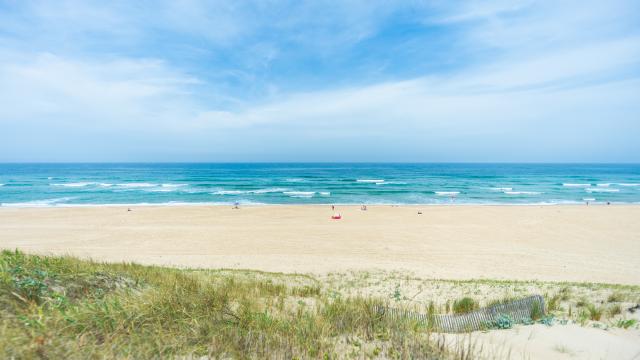 Cap de l'Homy, Plage de Côte Landes Nature
