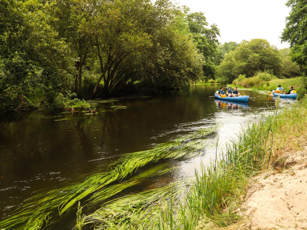 Descente du Courant de Contis en canoë Côte Landes Nature Tourisme