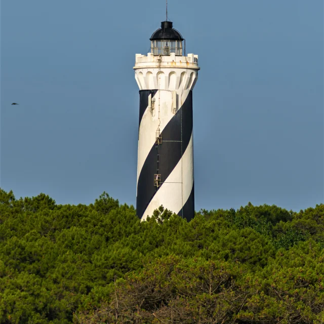 contis-phare-laura-mearini-3.jpg