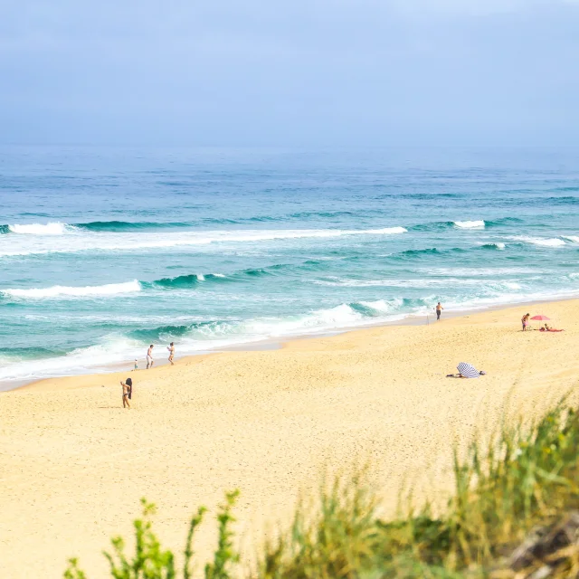 Plage | Côte Landes Nature