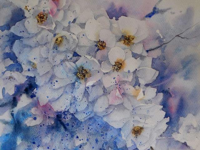 Aquarelle Fleurs Cerisier par Anne Larose