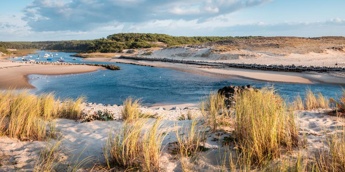 Contis plage in Saint Julien en Born | Côte Landes Nature Tourisme