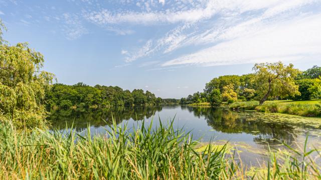 Lac d'Uza | Côte Landes Nature