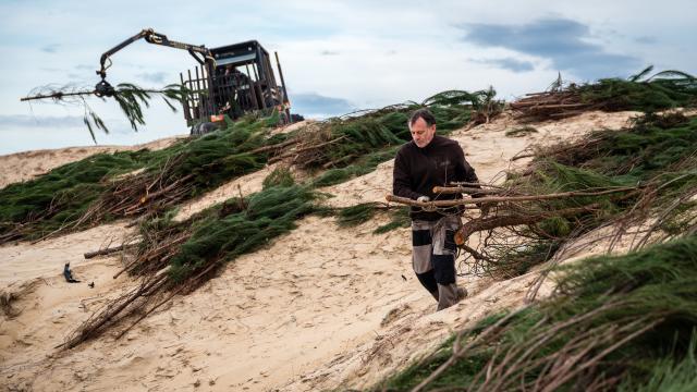 Tito Labadie | Côte Landes Nature Tourisme