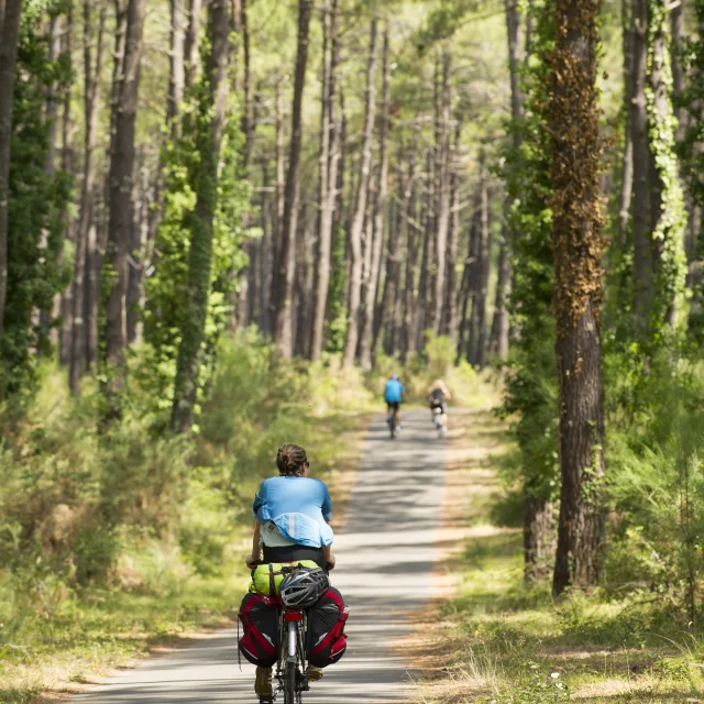 Piste Cyclable La Vélodysée entre Vielle et St Girons plage | Côte Landes Nature