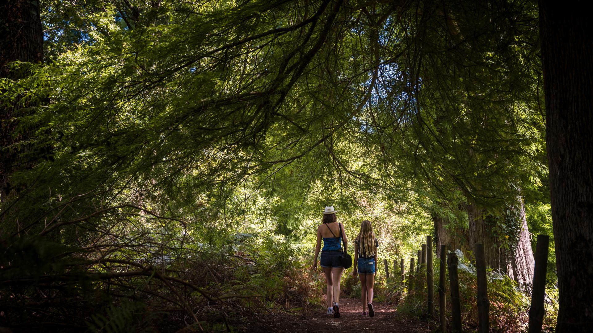 Balade en forêt près du Courant d'Huchet