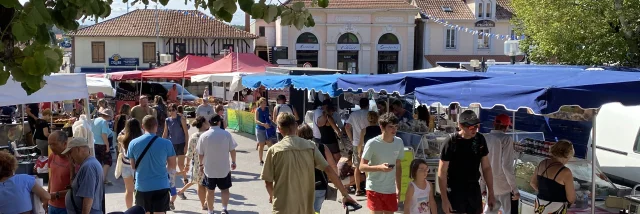 Marché saisonnier à Léon | Côte Landes Nature