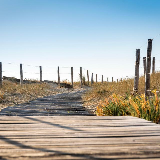 Plage du Cap de l'Homy | Côte Landes Nature Tourisme